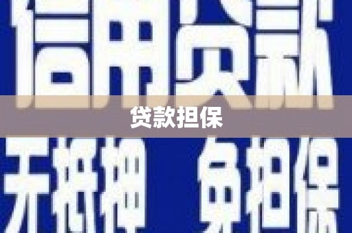 成县贷款担保