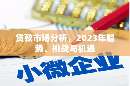 玉树贷款市场分析，2023年趋势、挑战与机遇