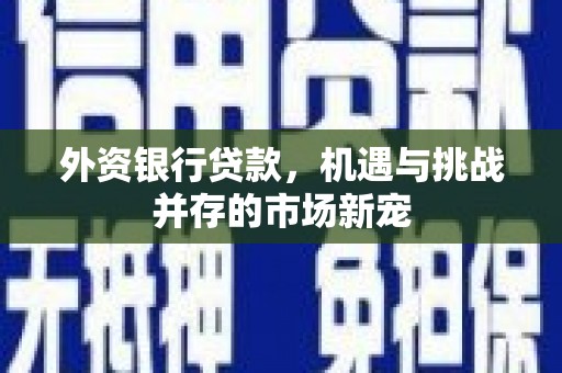 双柏外资银行贷款，机遇与挑战并存的市场新宠