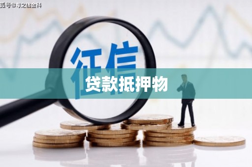 安图贷款抵押物