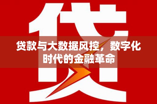 代县贷款与大数据风控，数字化时代的金融革命
