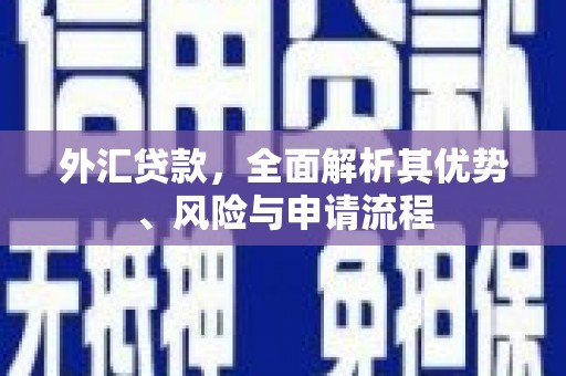 新泰外汇贷款，全面解析其优势、风险与申请流程
