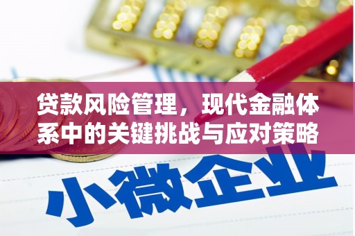 富川贷款风险管理，现代金融体系中的关键挑战与应对策略