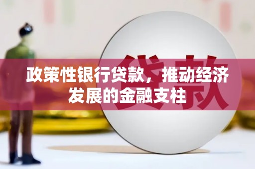 彬县政策性银行贷款，推动经济发展的金融支柱