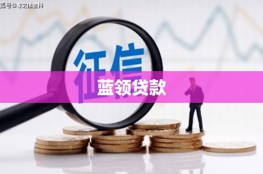 务川蓝领贷款