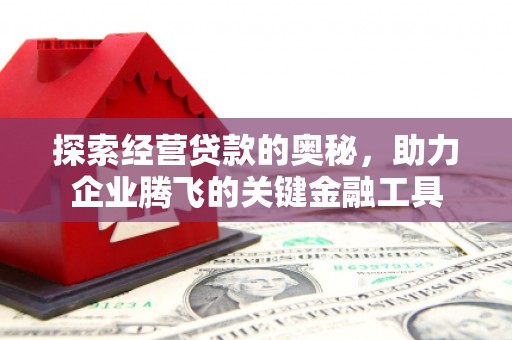 梧州探索经营贷款的奥秘，助力企业腾飞的关键金融工具