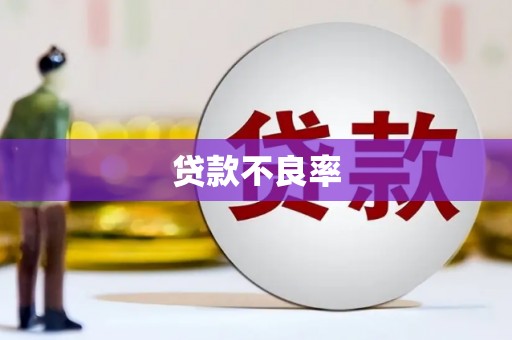 盂县贷款不良率