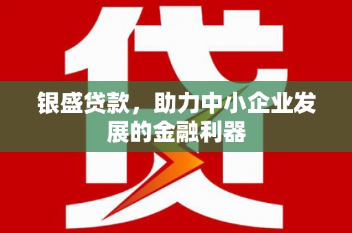 阜阳银盛贷款，助力中小企业发展的金融利器