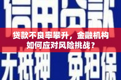 米脂贷款不良率攀升，金融机构如何应对风险挑战？
