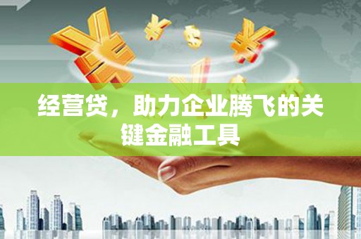 银川经营贷，助力企业腾飞的关键金融工具