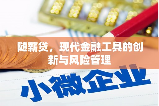 涿鹿随薪贷，现代金融工具的创新与风险管理