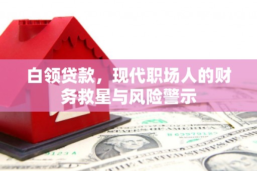 汕尾白领贷款，现代职场人的财务救星与风险警示