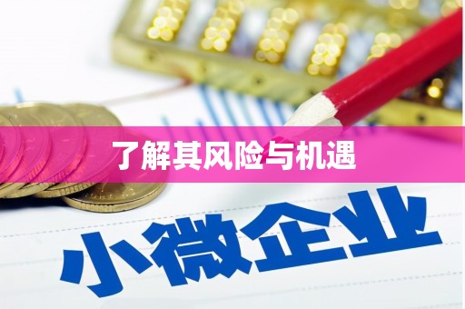 岱岳了解其风险与机遇