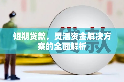 山东短期贷款，灵活资金解决方案的全面解析