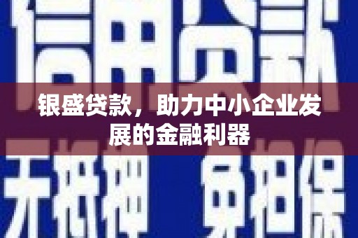 塔什库尔干塔吉克银盛贷款，助力中小企业发展的金融利器