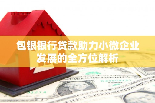 永寿包银银行贷款助力小微企业发展的全方位解析 永寿包银银行贷款助力小微企业发展的全方位解析