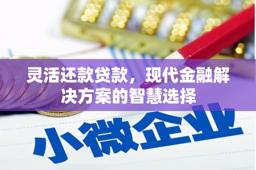 木垒灵活还款贷款，现代金融解决方案的智慧选择