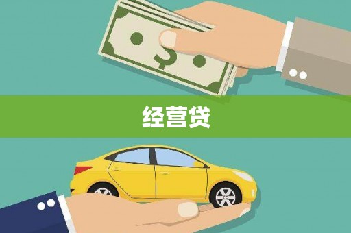 东至经营贷