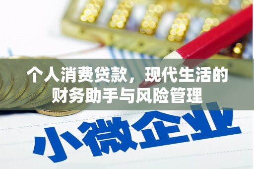 克孜勒苏柯尔克孜个人消费贷款，现代生活的财务助手与风险管理