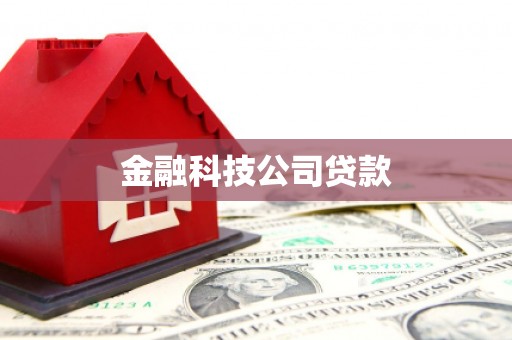 惠山金融科技公司贷款