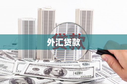 玉里外汇贷款