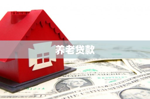 复兴养老贷款