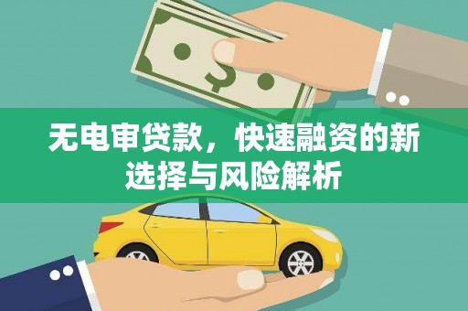 徐闻无电审贷款，快速融资的新选择与风险解析
