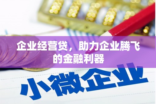 港南企业经营贷，助力企业腾飞的金融利器