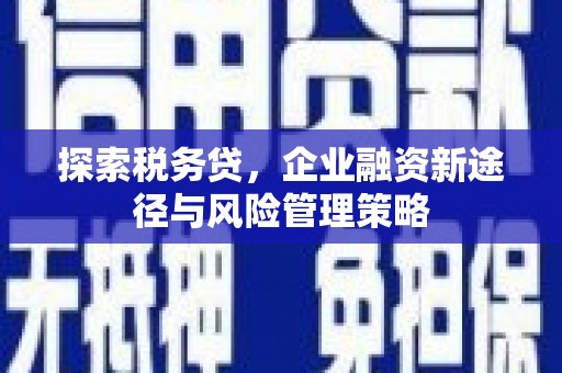 吴川探索税务贷，企业融资新途径与风险管理策略
