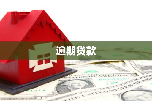 西峰逾期贷款