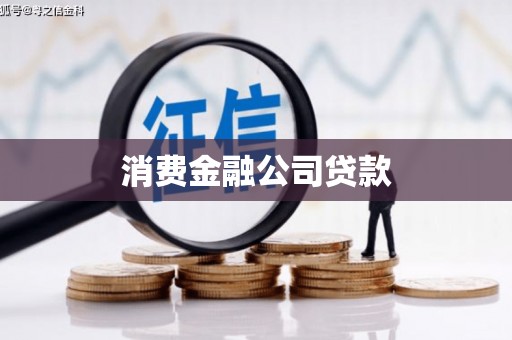 镇坪消费金融公司贷款