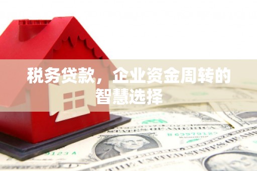 高埗税务贷款，企业资金周转的智慧选择