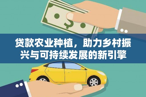 阳春贷款农业种植，助力乡村振兴与可持续发展的新引擎