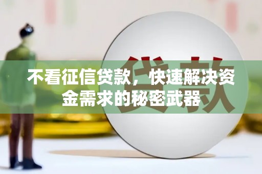 永新不看征信贷款，快速解决资金需求的秘密武器