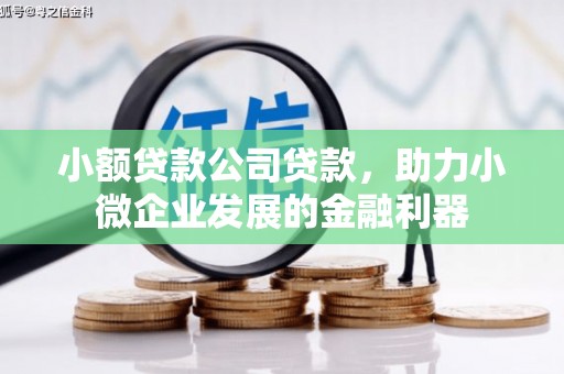 松原小额贷款公司贷款，助力小微企业发展的金融利器