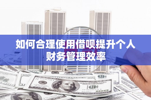 西青如何合理使用借呗提升个人财务管理效率