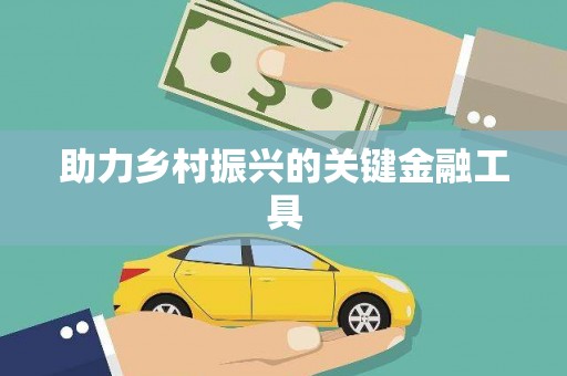 乐都助力乡村振兴的关键金融工具