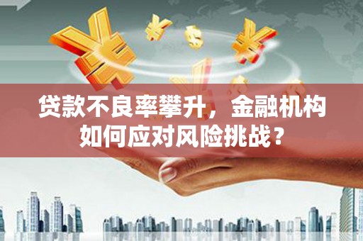印台贷款不良率攀升，金融机构如何应对风险挑战？