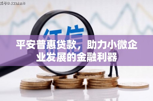 扶绥平安普惠贷款，助力小微企业发展的金融利器