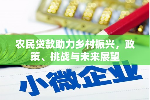 大甲农民贷款助力乡村振兴，政策、挑战与未来展望