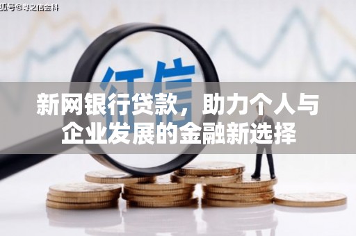 岳阳新网银行贷款，助力个人与企业发展的金融新选择