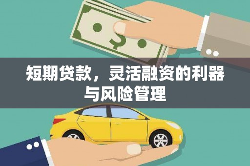 海陵短期贷款，灵活融资的利器与风险管理