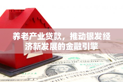 西和养老产业贷款，推动银发经济新发展的金融引擎
