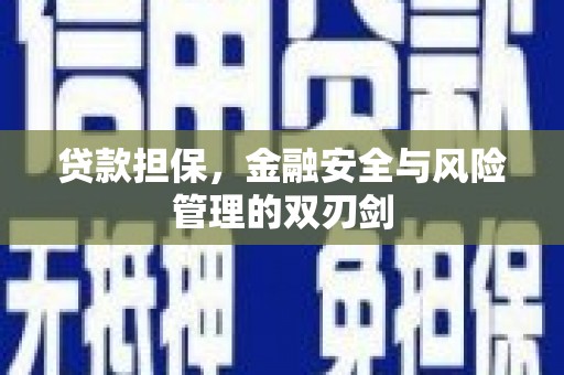 固原贷款担保，金融安全与风险管理的双刃剑