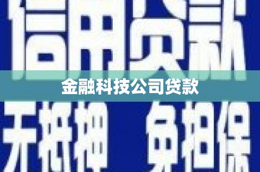 吉木萨尔金融科技公司贷款