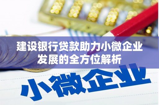 塔河建设银行贷款助力小微企业发展的全方位解析