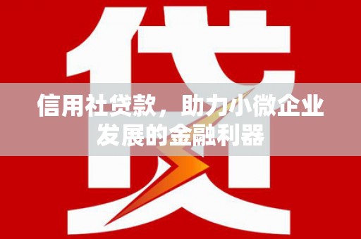 陇县信用社贷款，助力小微企业发展的金融利器