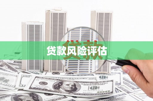 太麻里贷款风险评估