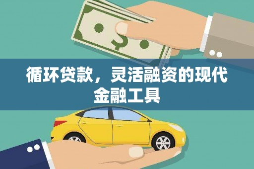 贞丰循环贷款，灵活融资的现代金融工具