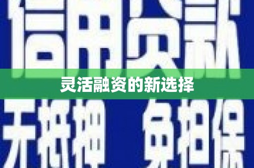西华灵活融资的新选择